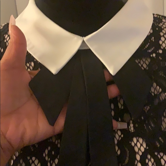 Betsey Johnson Collared Lace Shift Dress - Picture 7 of 9